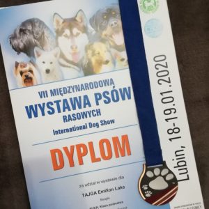 VII Międzynarodowa Wystawa Psów Rasowych, Lubin (o/Legnica) 19.01.2020