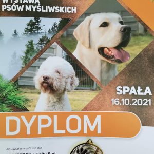 Krajowa Wystawa Psów Myśliwskich, Spała (oddział Łódź) 16.10.2021