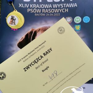 Krajowa Wystawa Psów Myśliwskich, Bałtów (oddział Radom), 23-24.04.2022