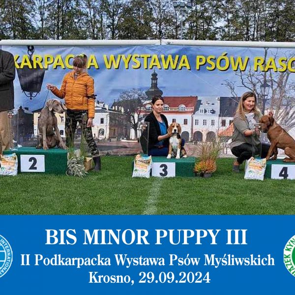 II Podkarpacka  Wystawa Psów Myśliwskich, Krosno, 29.09.2024